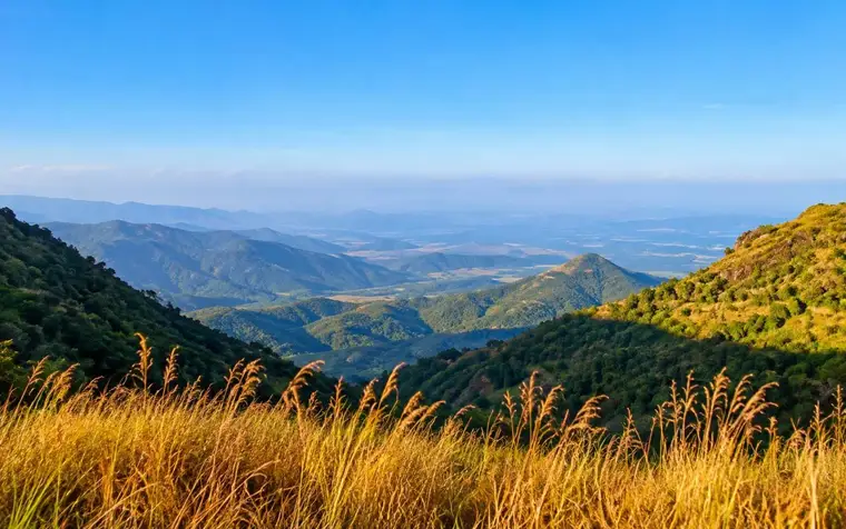 Chellarkovil Viewpoint & Waterfalls