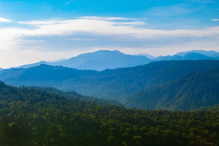Dense Western Ghats Forests
