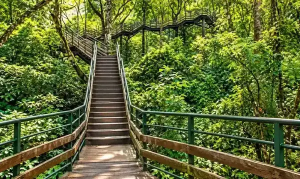 Murikkady Spice Plantations