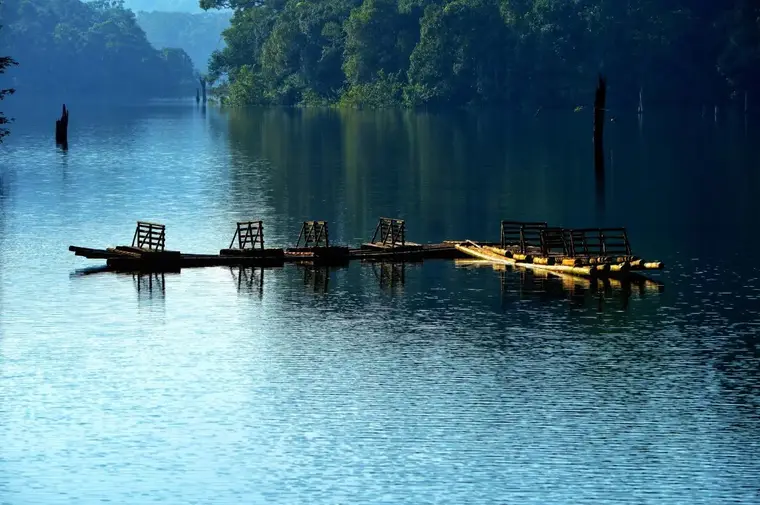 3 Nights / 4 Days Thekkady Itinerary