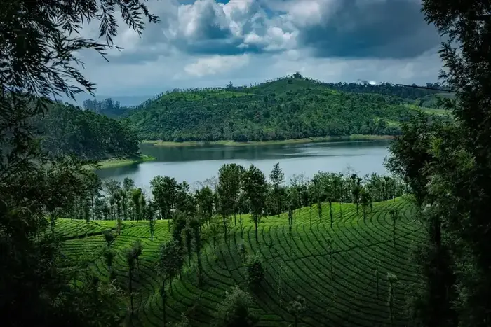 Thekkady + Munnar Itinerary