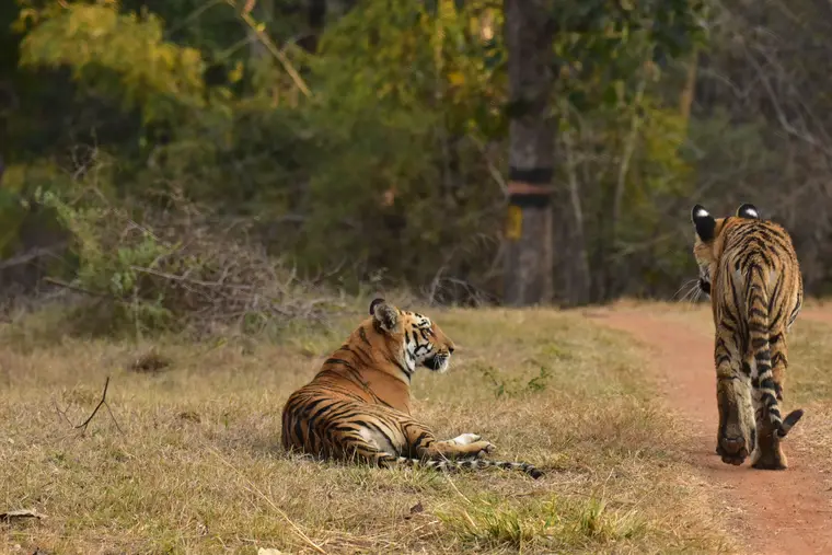 Periyar Tiger Reserve Thekkady