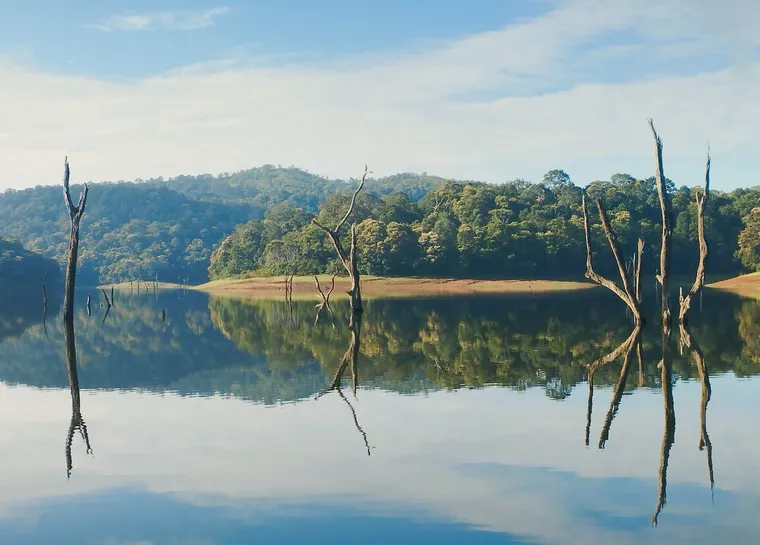 Periyar Lake Boating Thekkady