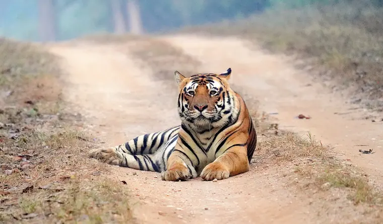 Periyar Tiger Reserve & Lake