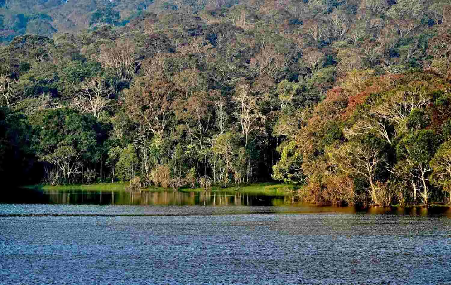 Vagamon + Thekkady Itinerary