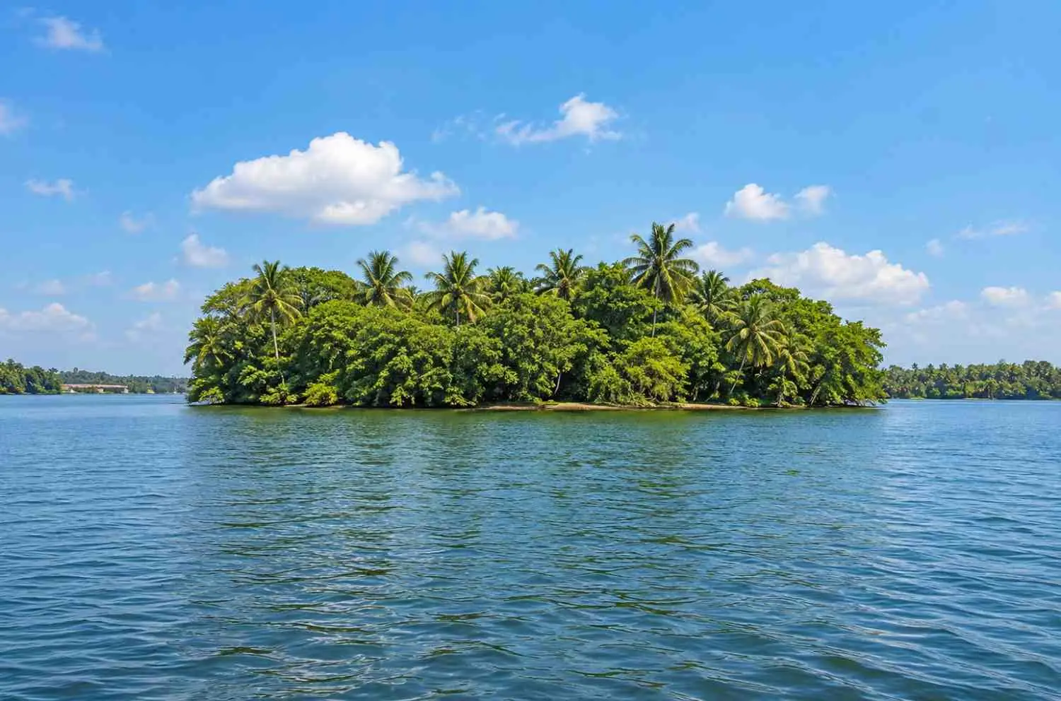 Ponnumthuruthu Island