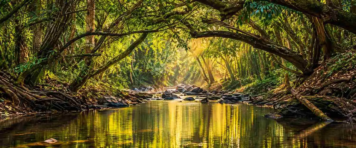 Kuruva Island Kabini River