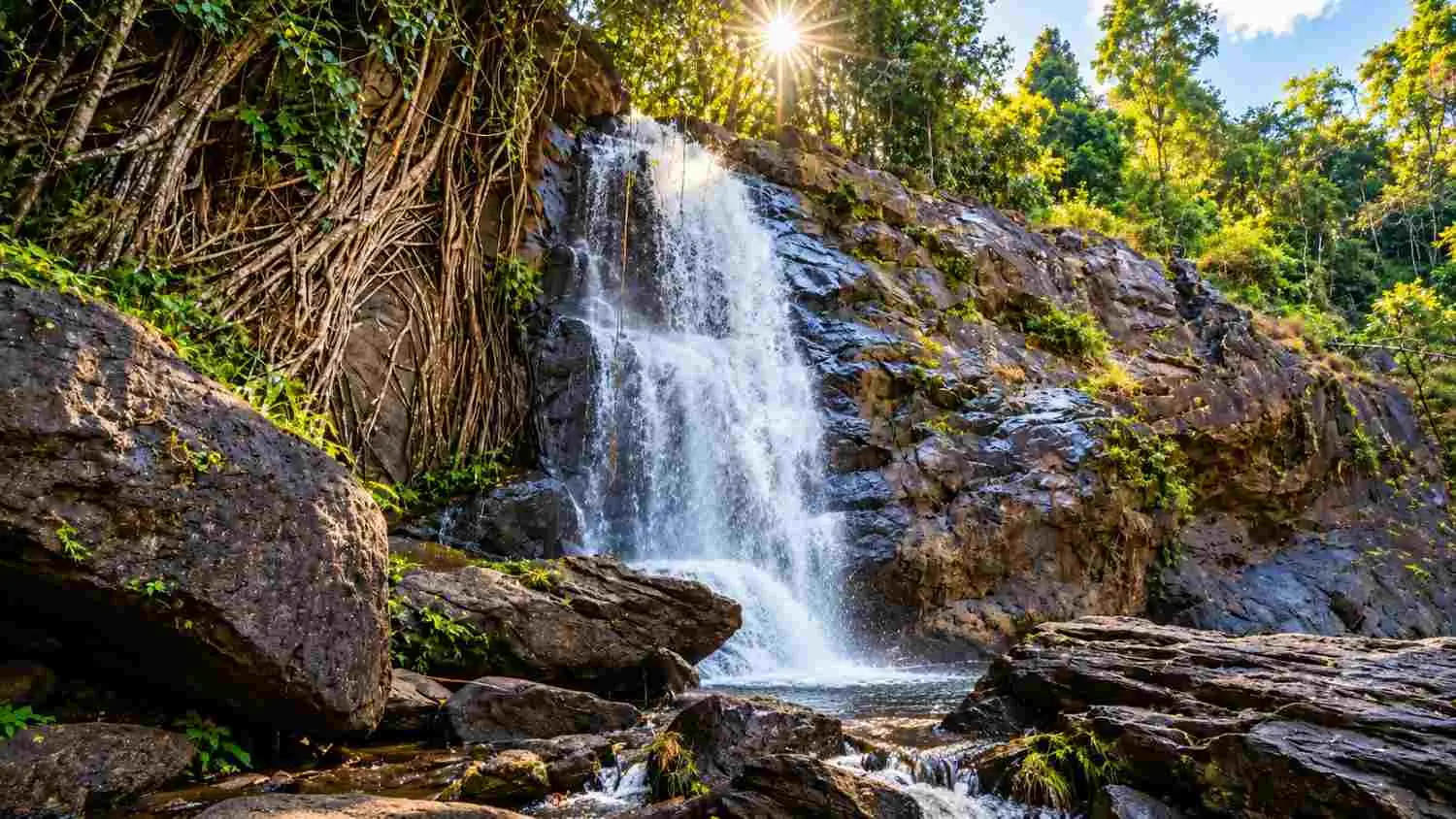Soochipara Waterfalls & Rainforests