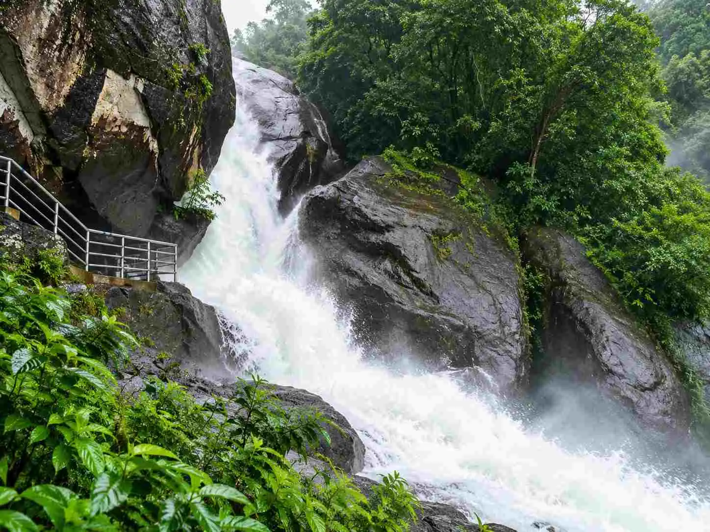 4 Nights / 5 Days Wayanad Itinerary