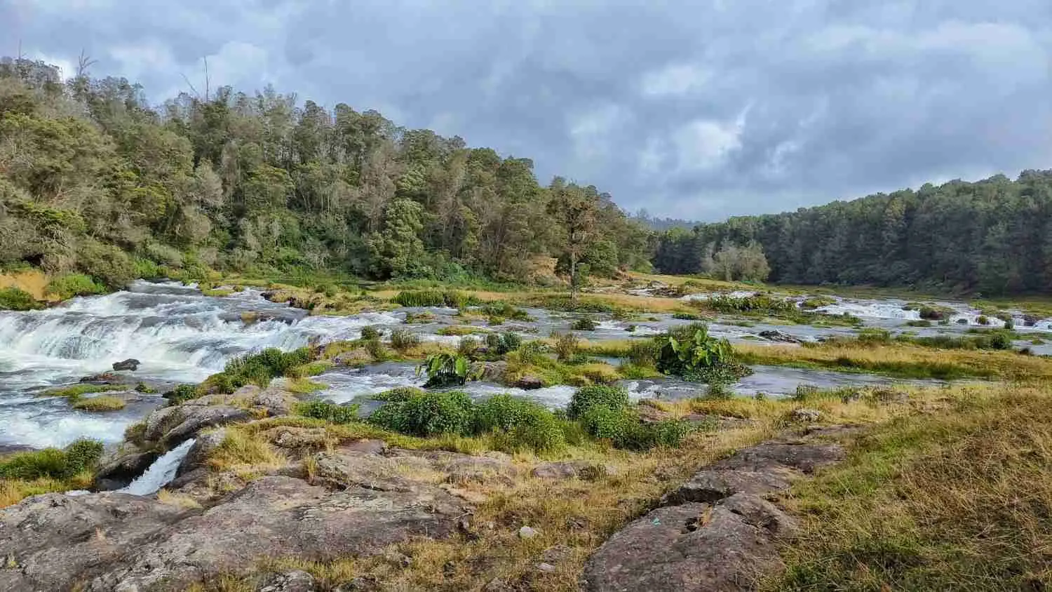 Wayanad + Ooty Itinerary