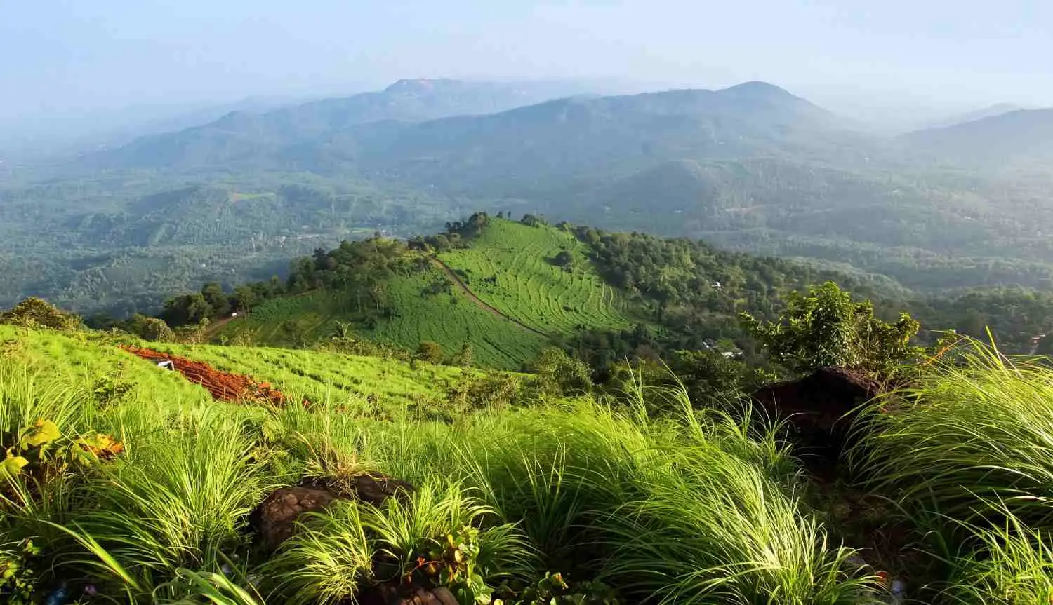2 Nights / 3 Days Wayanad Hilltop Highlights