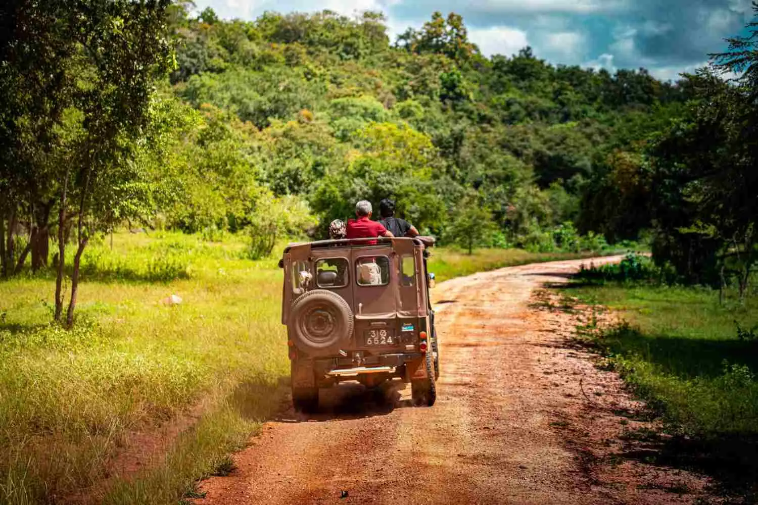 3 Nights / 4 Days Wayanad Wildlife & Trek Explorer