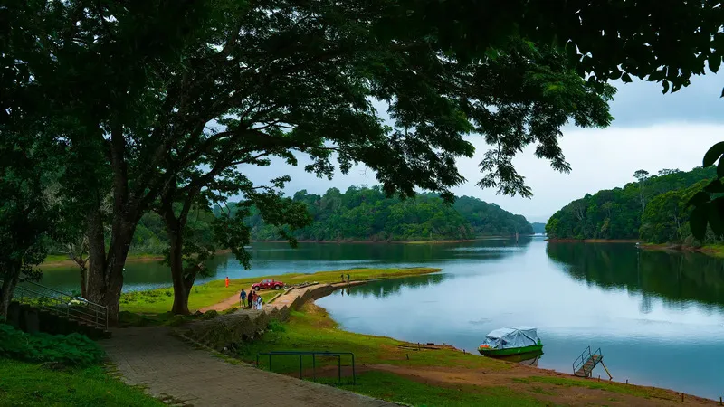 Thekkady Full-Day Experience