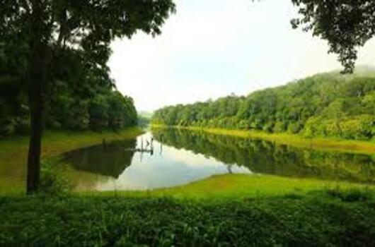 Roots of Thekkady