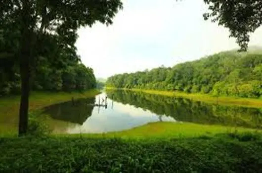 Roots of Thekkady
