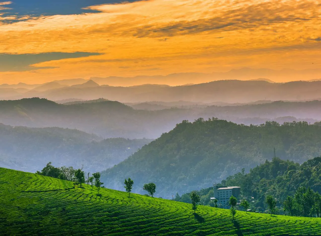 Kerala Group Tour Package