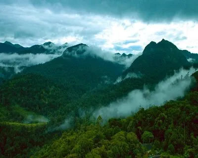 Silent Valley National Park