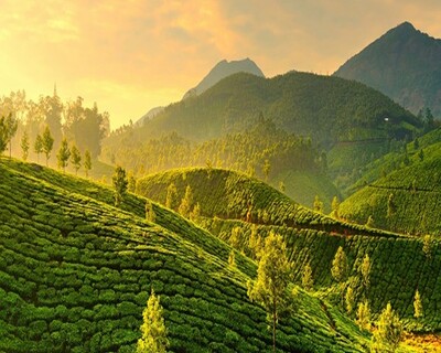 Kerala Destinations