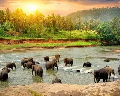 Thekkady