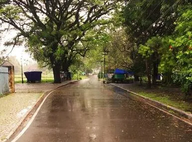 Fort Kochi and Mattancherry by Rickshaw