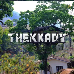 Kochi + Thekkady Itinerary