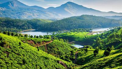 Munnar & Alleppey Short Break